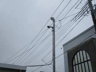 IMG_8993[1].JPGのサムネール画像